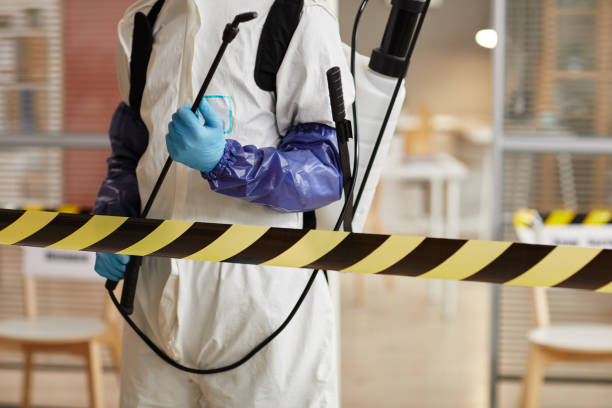 Professional Sewage Cleanup technician working in Irwin, OH